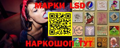 Альфа ПВП Лесосибирск
