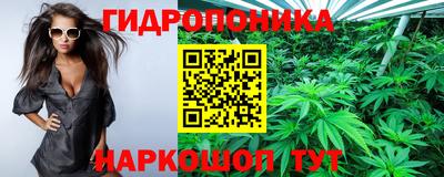 Альфа ПВП Лесосибирск
